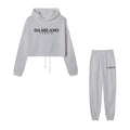 Top colheita moletom 2 pçs conjunto feminino diário casual esportes jogging terno moda urbana hoodies streetwear primavera ao ar livre roupas sexy
