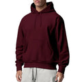 2024 new hoodie sweatshirt jacket comfortable versatile casual autumn and winter loose top fashionable men